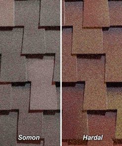 BTM Shingle Dragon Flex